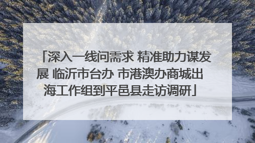 深入一线问需求 精准助力谋发展 临沂市台办 市港澳办商城出海工作组到平邑县走访调研