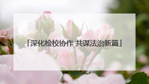 深化检校协作 共谋法治新篇