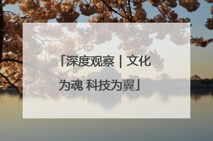 深度观察｜文化为魂 科技为翼