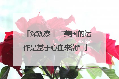 深观察丨“美国的运作是基于心血来潮”