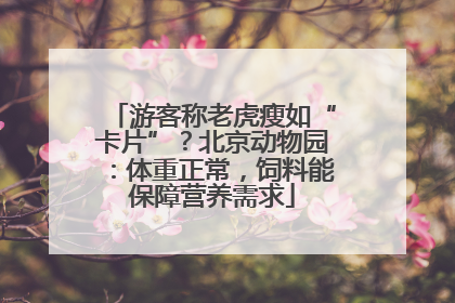 游客称老虎瘦如“卡片”？北京动物园：体重正常，饲料能保障营养需求