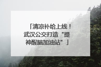 清凉补给上线！武汉公交打造“提神醒脑加油站”