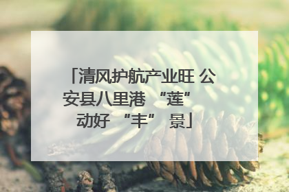 清风护航产业旺 公安县八里港 “莲” 动好 “丰” 景