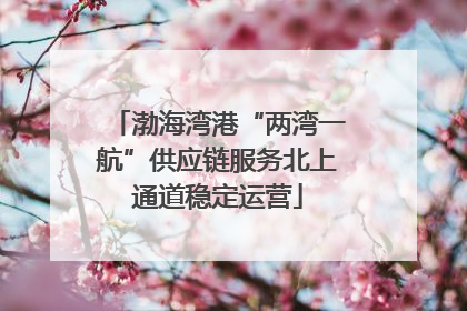 渤海湾港“两湾一航”供应链服务北上通道稳定运营