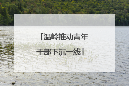 温岭推动青年干部下沉一线
