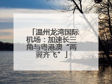 温州龙湾国际机场：加速长三角与粤港澳“两翼齐飞”