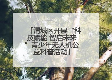 渭城区开展“科技赋能 智启未来”青少年无人机公益科普活动