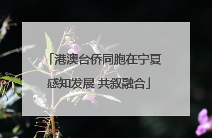 港澳台侨同胞在宁夏感知发展 共叙融合