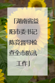 湖南省益阳市委书记陈竞督导检查全市防汛工作