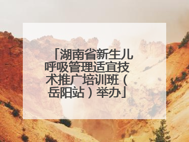 湖南省新生儿呼吸管理适宜技术推广培训班（岳阳站）举办