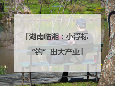 湖南临湘：小浮标“钓”出大产业