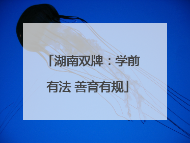 湖南双牌：学前有法 善育有规