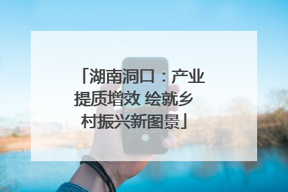湖南洞口：产业提质增效 绘就乡村振兴新图景