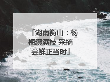 湖南衡山：杨梅缀满枝 采摘尝鲜正当时