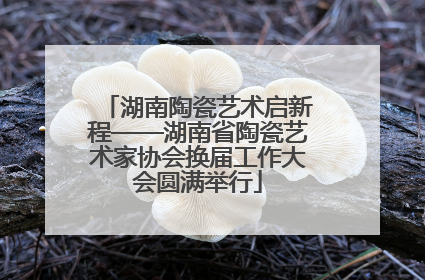 湖南陶瓷艺术启新程——湖南省陶瓷艺术家协会换届工作大会圆满举行