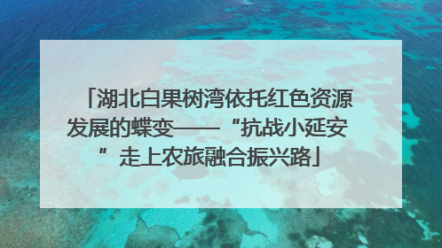 湖北白果树湾依托红色资源发展的蝶变——“抗战小延安”走上农旅融合振兴路