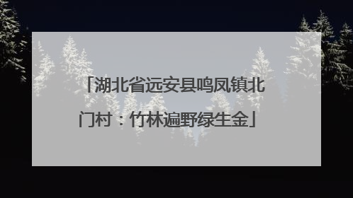 湖北省远安县鸣凤镇北门村：竹林遍野绿生金