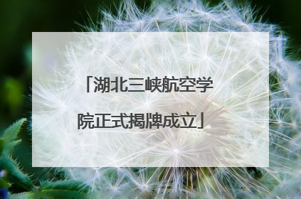 湖北三峡航空学院正式揭牌成立