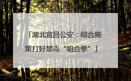 湖北宜昌公安：综合施策打好禁毒“组合拳”
