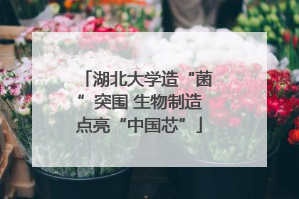 湖北大学造“菌”突围 生物制造点亮“中国芯”