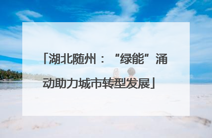 湖北随州：“绿能”涌动助力城市转型发展