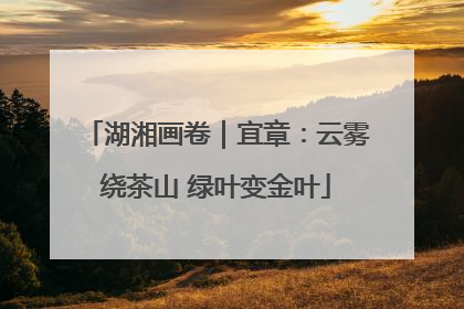 湖湘画卷｜宜章：云雾绕茶山 绿叶变金叶
