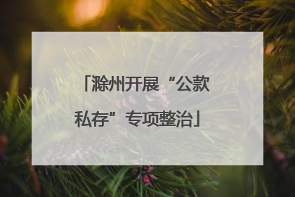 滁州开展“公款私存”专项整治