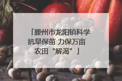 滕州市龙阳镇科学抗旱保苗 力保万亩农田“解渴”
