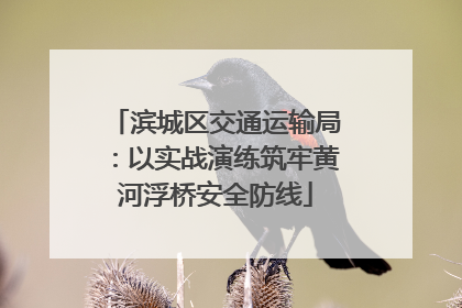 滨城区交通运输局：以实战演练筑牢黄河浮桥安全防线