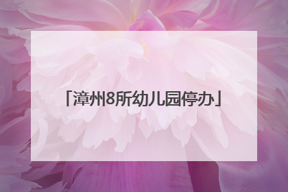 漳州8所幼儿园停办