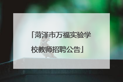 菏泽市万福实验学校教师招聘公告