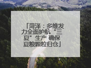 菏泽：多维发力全面护航“三夏”生产 确保夏粮颗粒归仓