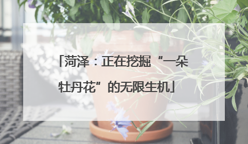 菏泽：正在挖掘“一朵牡丹花”的无限生机
