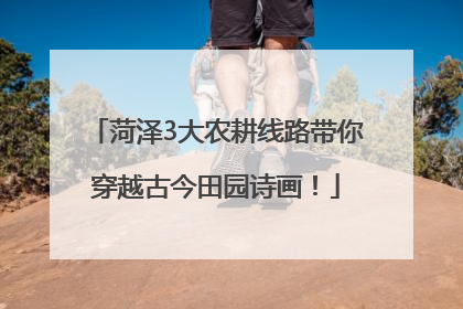 菏泽3大农耕线路带你穿越古今田园诗画！