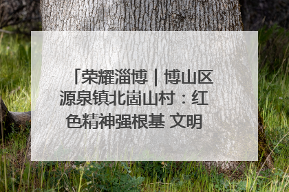 荣耀淄博｜博山区源泉镇北崮山村：红色精神强根基 文明新风润山乡