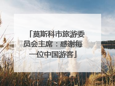 莫斯科市旅游委员会主席：感谢每一位中国游客