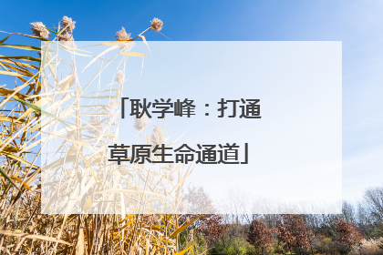 耿学峰：打通草原生命通道
