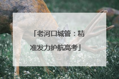 老河口城管：精准发力护航高考