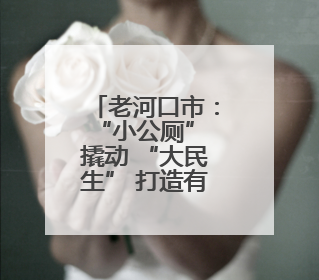 老河口市：“小公厕” 撬动 “大民生” 打造有温度的城市文明窗口