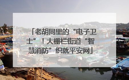 老胡同里的“电子卫士”！大栅栏街道“智慧消防”织就平安网
