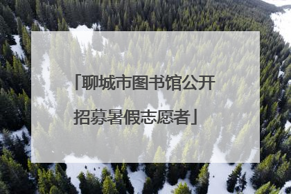 聊城市图书馆公开招募暑假志愿者