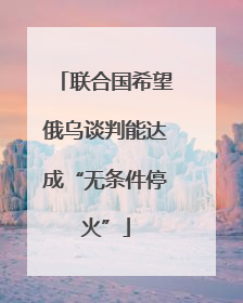 联合国希望俄乌谈判能达成“无条件停火”