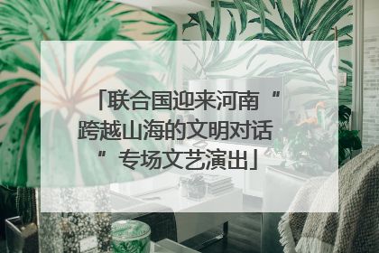 联合国迎来河南“跨越山海的文明对话”专场文艺演出