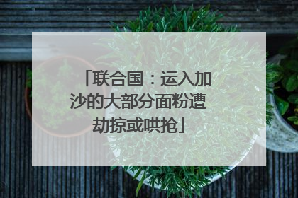 联合国：运入加沙的大部分面粉遭劫掠或哄抢
