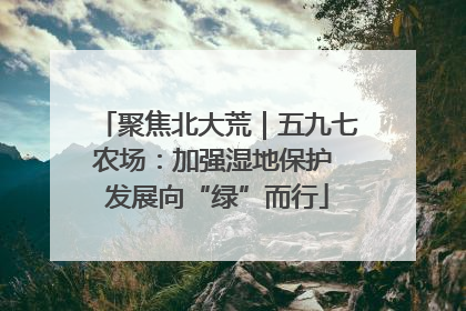 聚焦北大荒｜五九七农场：加强湿地保护 发展向“绿”而行