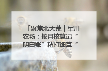 聚焦北大荒｜军川农场：按月核算记“明白账”精打细算“过紧日子”