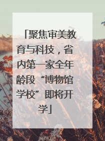 聚焦审美教育与科技，省内第一家全年龄段“博物馆学校”即将开学