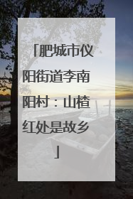 肥城市仪阳街道李南阳村：山楂红处是故乡