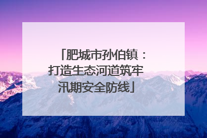 肥城市孙伯镇：打造生态河道筑牢汛期安全防线