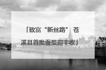 致富“新丝路” 苍溪县首批蚕茧迎丰收